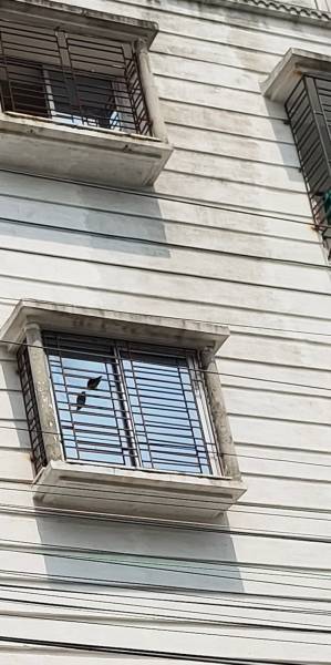  new-project Elevation