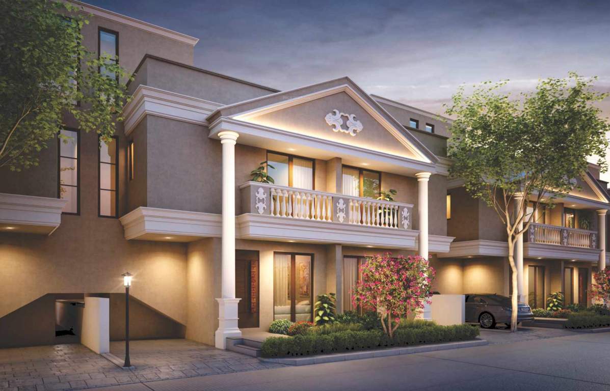  aarya ellis 1 Elevation