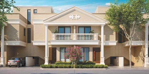 Elevation aarya-ellis-1 Elevation