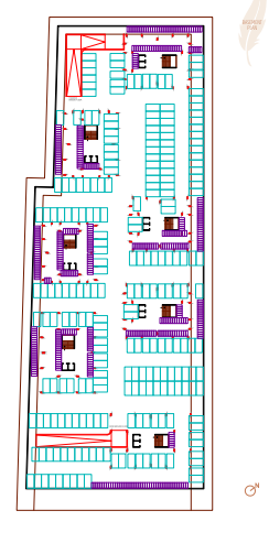  bliss A Cluster Plan