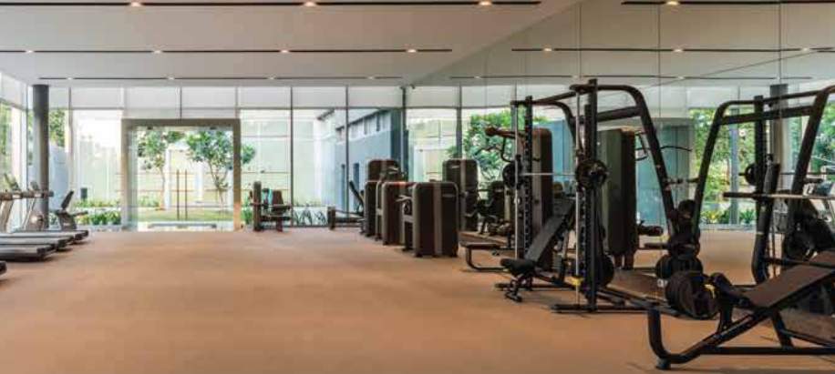  elysian tower b Gymnasium