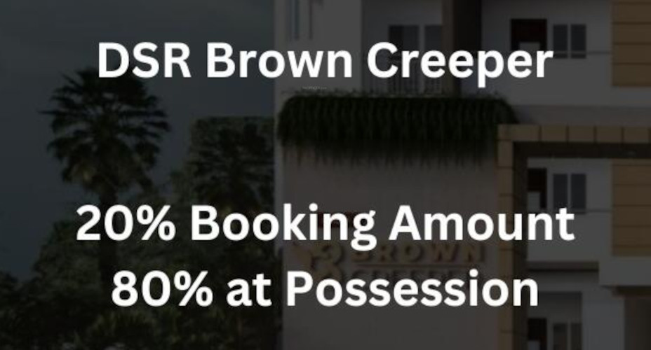 dsr-brown-creeper Down Payment Payment Plan