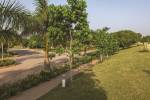 Landscape Garden and Tree Planting orchid-nirvana-2 Landscape Garden and Tree Planting