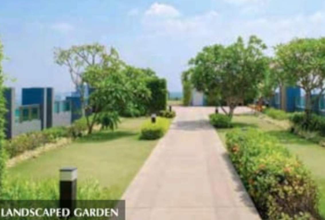  eden b7 Landscape Garden and Tree Planting