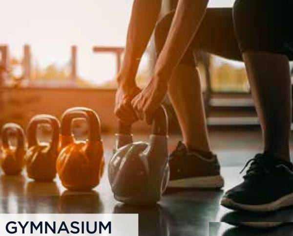  one-world-2 Gymnasium