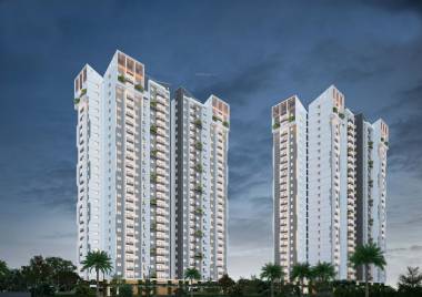 Elevation  tranquility Elevation