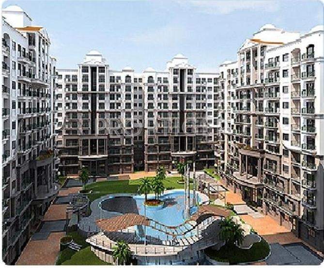 tambourine Images for Elevation of HM Tambourine