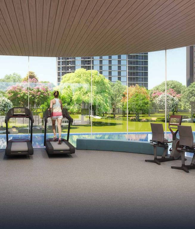  nexworld nova Gymnasium