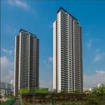 Elevation gold-mine Elevation