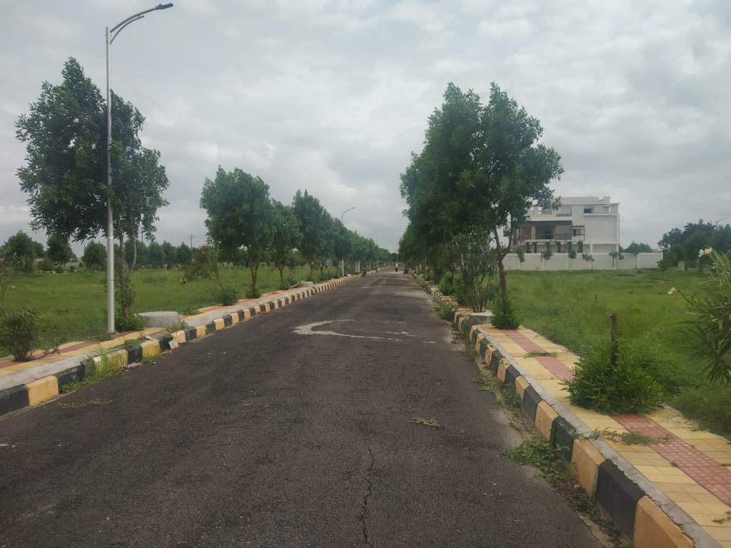  oxygen county phase 1 Plot