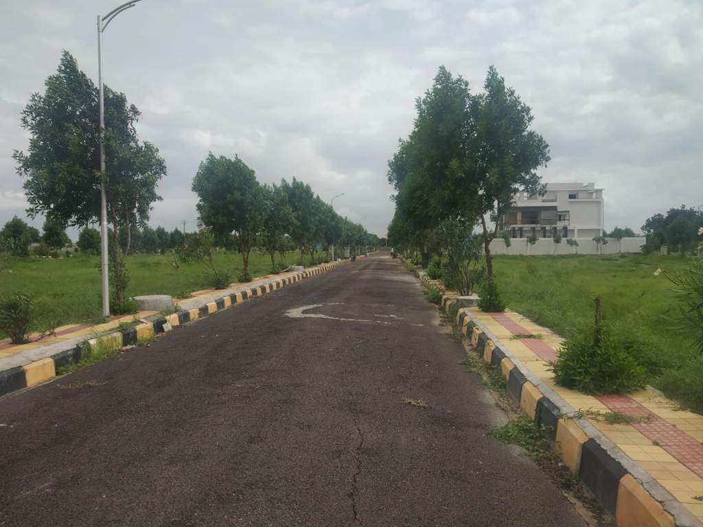  oxygen county phase 1 Plot