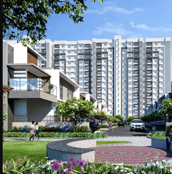  planet of joy Others