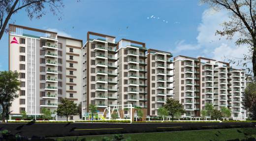 luxe Elevation Elevation