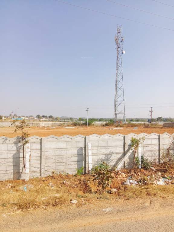  rainbow garden Plot
