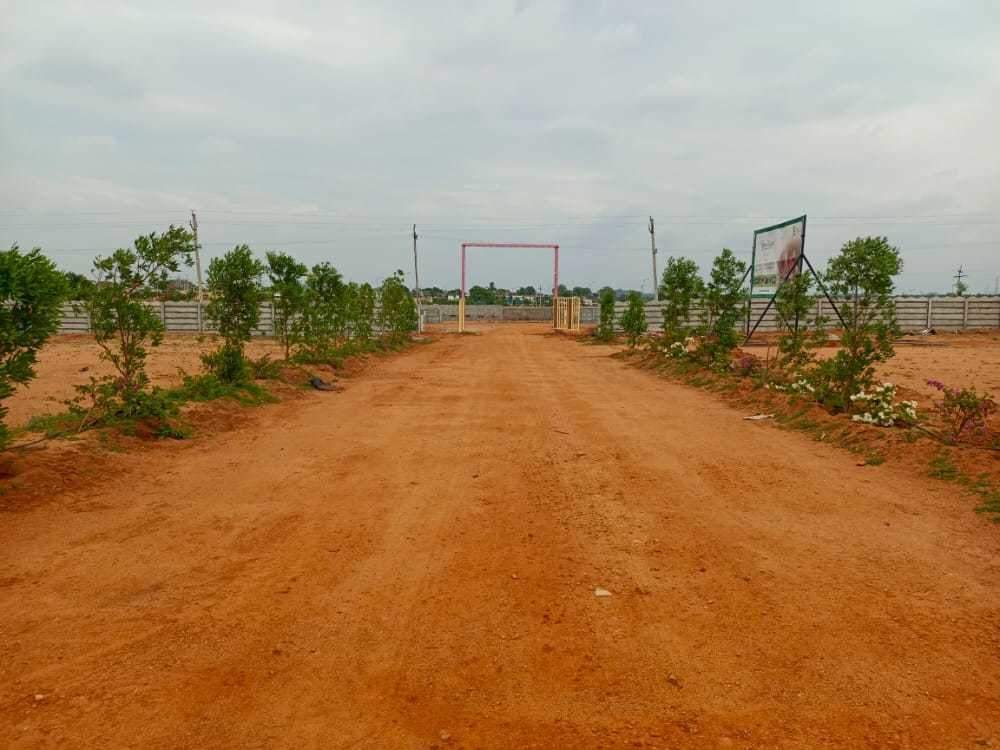  rainbow garden Plot
