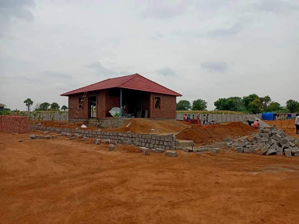  rainbow garden Plot