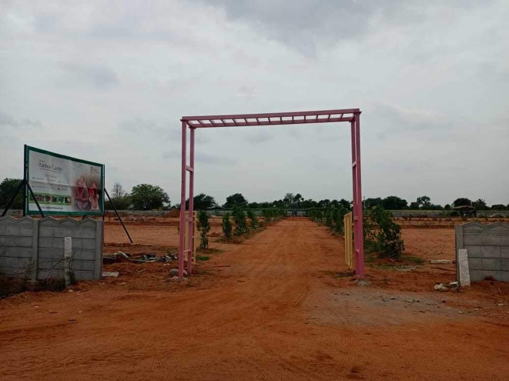  rainbow garden Plot