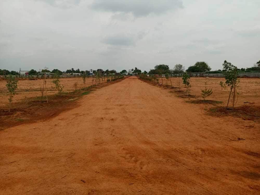  rainbow garden Plot