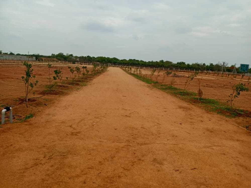  rainbow garden Plot