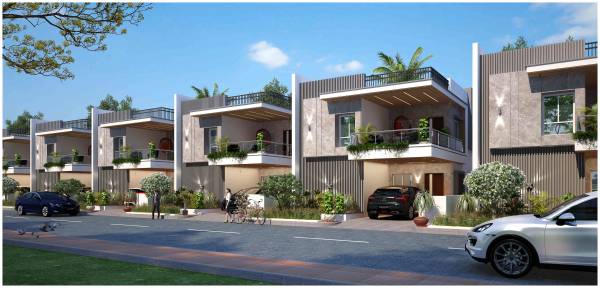  palm-meadows Elevation