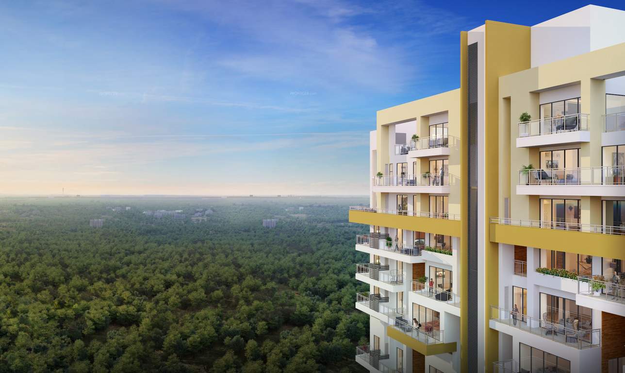  risland sky mansion Elevation