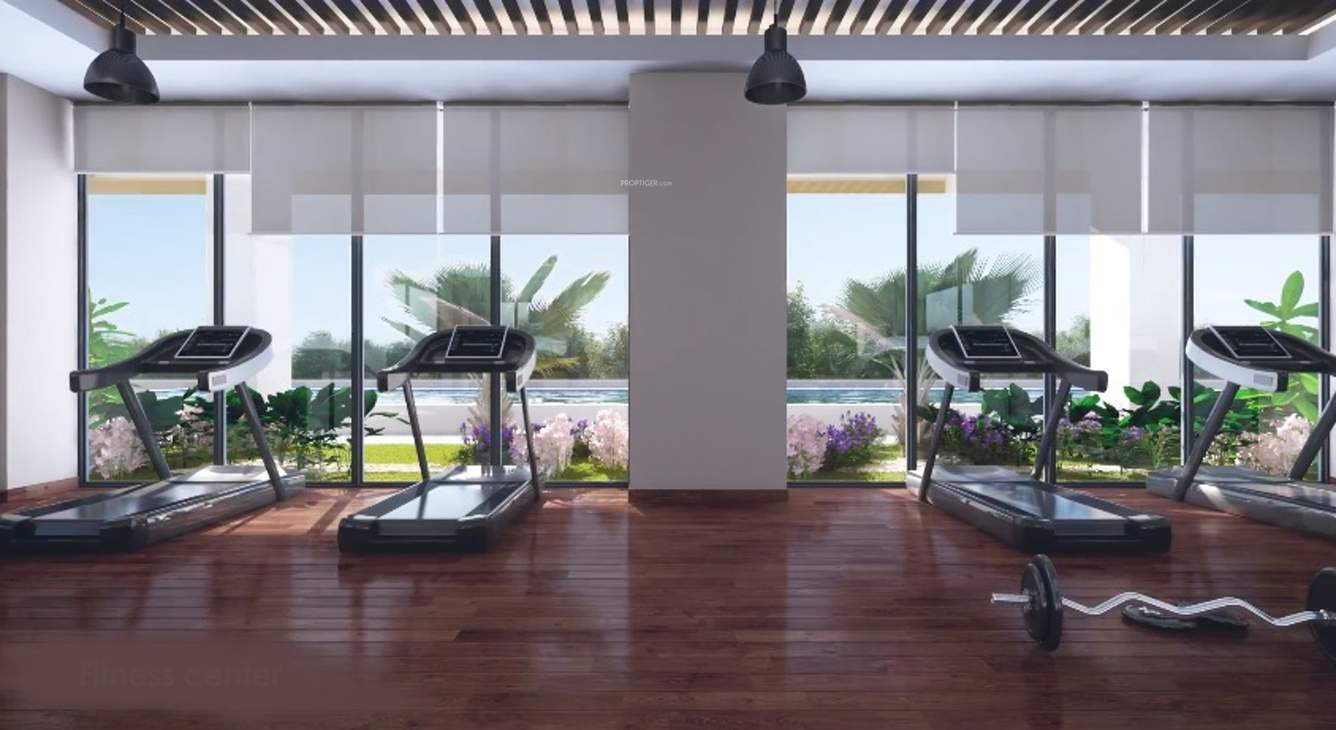  risland sky mansion Gymnasium
