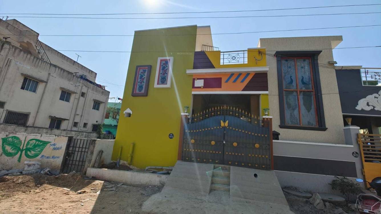  dream villa Elevation