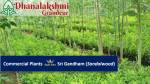 Others  dhanalakshmi-grandeur Others