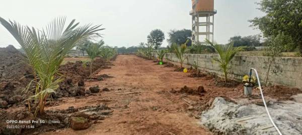  dhanalakshmi-grandeur Plot