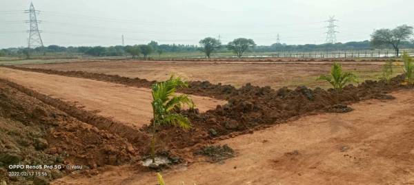  dhanalakshmi-grandeur Plot