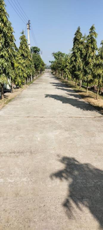  janapriya abasan Plot