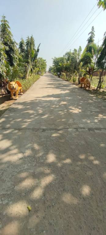  janapriya abasan Plot