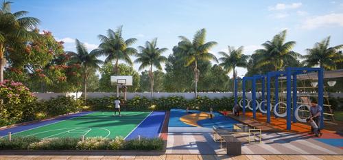  skyve Basketball Court