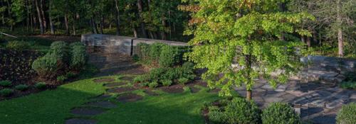  insyn Landscape Garden and Tree Planting