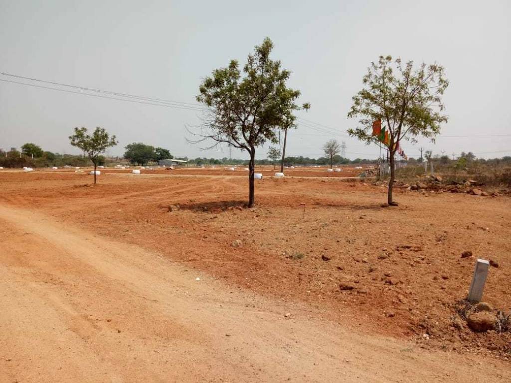  central amazon city Plot