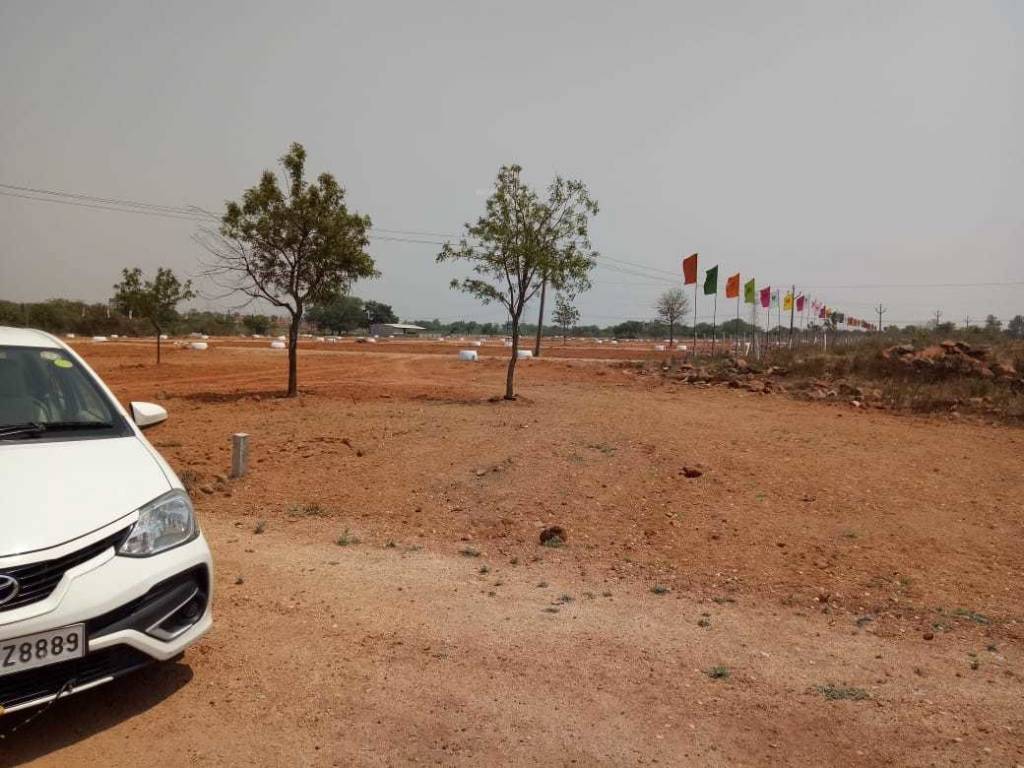  central amazon city Plot