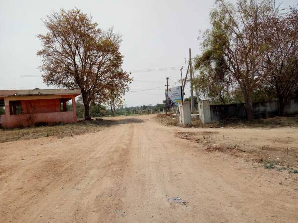  central-amazon-city Plot