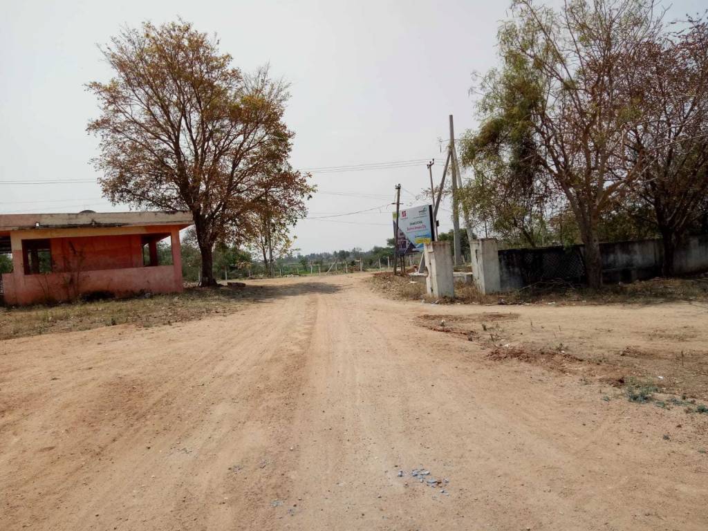  central amazon city Plot