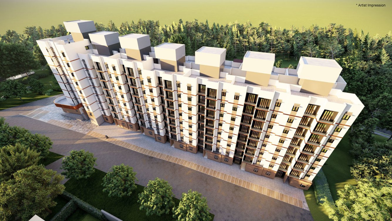  codename bliss Elevation