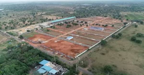  sr-bamboo-grove Plot