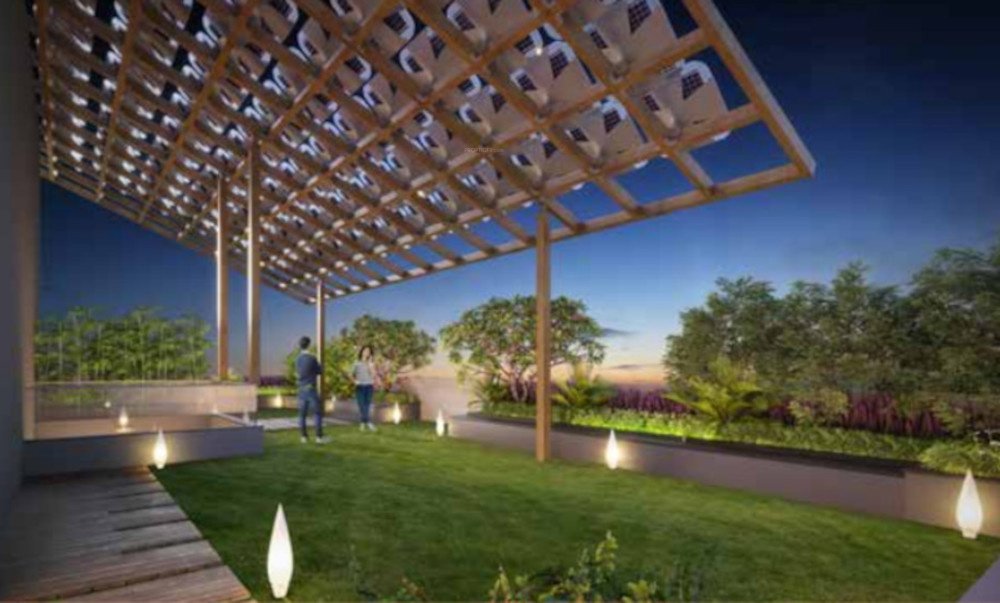  chandrahas Landscape Garden and Tree Planting