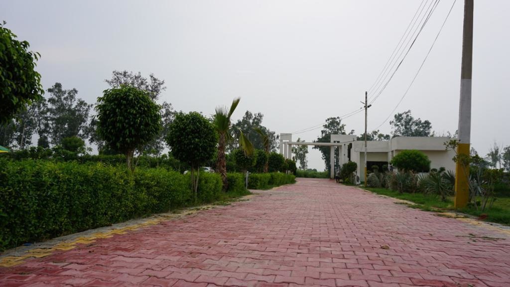  krishna spring Internal Roads