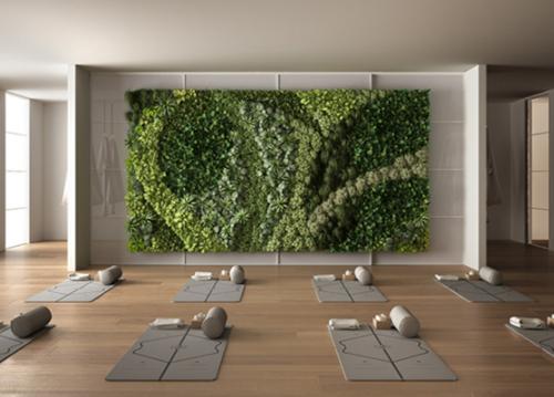  skyraa Yoga/Meditation Area