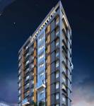 Elevation iris Elevation