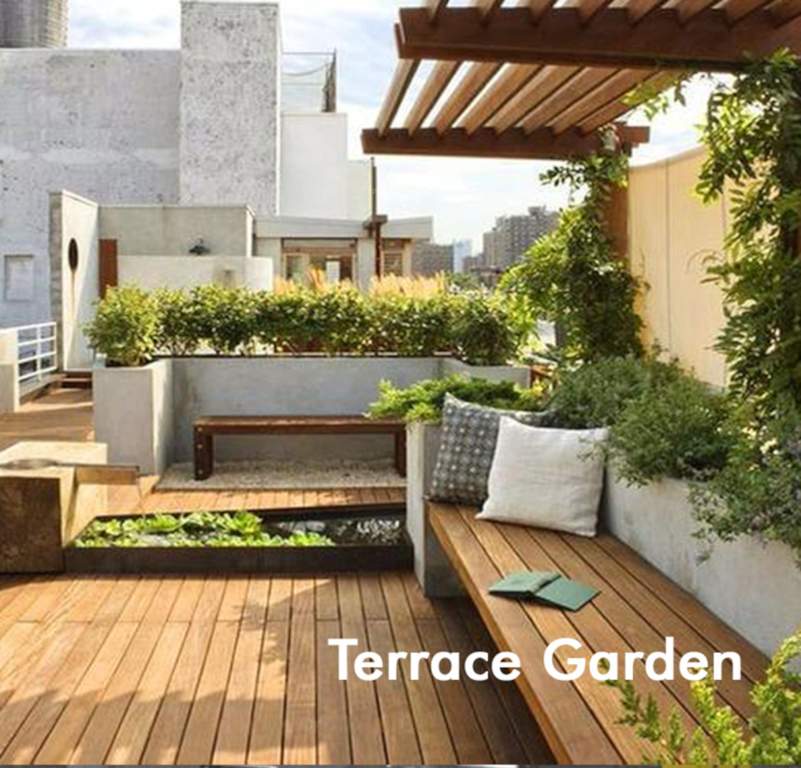  sai brindhavan Terrace Garden