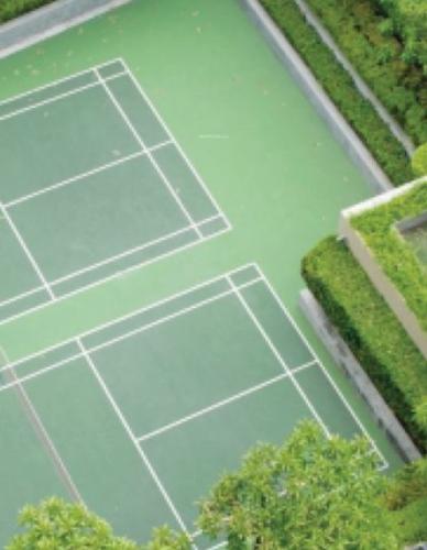  signature Basketball Court