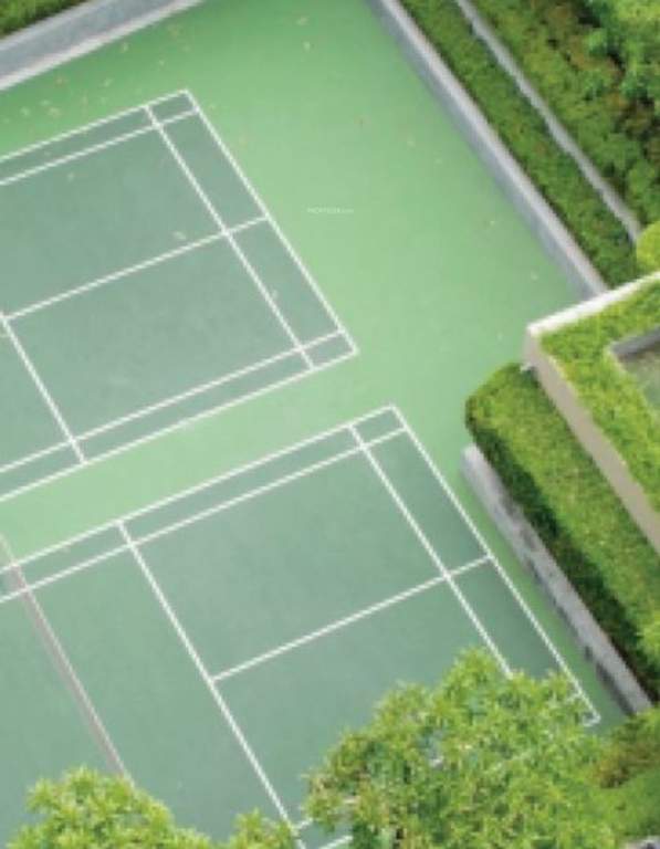  signature Basketball Court