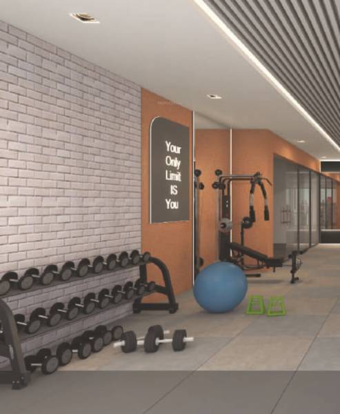  nandan-ace Gymnasium