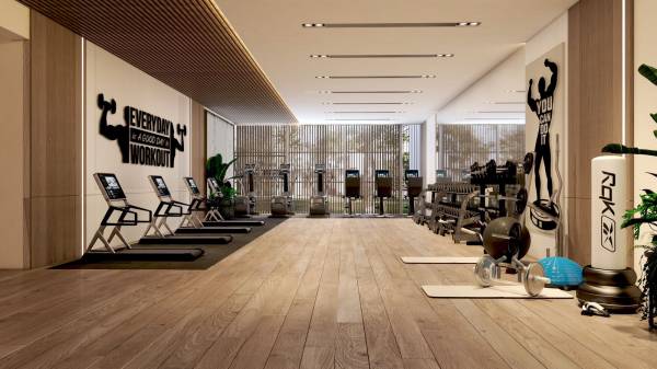 Gymnasium highgroves Gymnasium