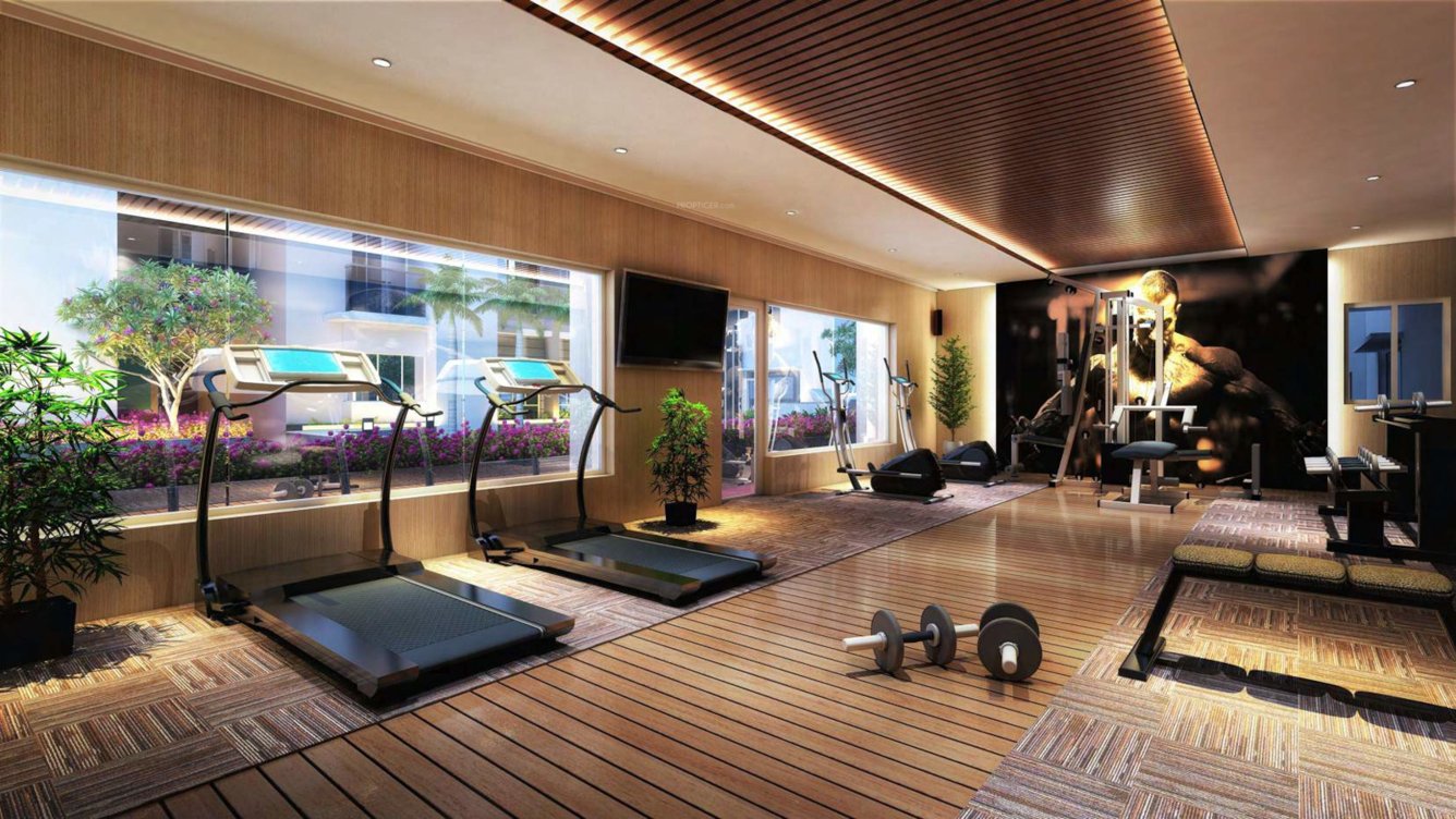  bally sky high Gymnasium